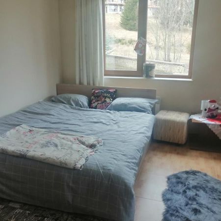 Apartment Dream Pamporovo Bagian luar foto
